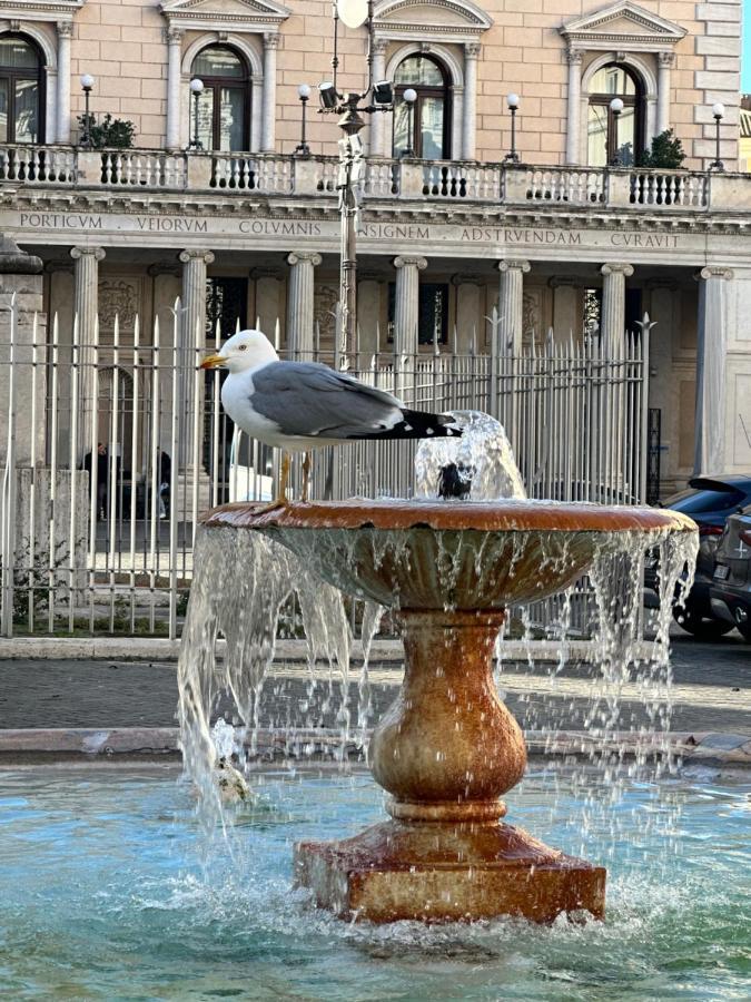 Pantheon Palazzo Nari Apartment Рим Екстериор снимка